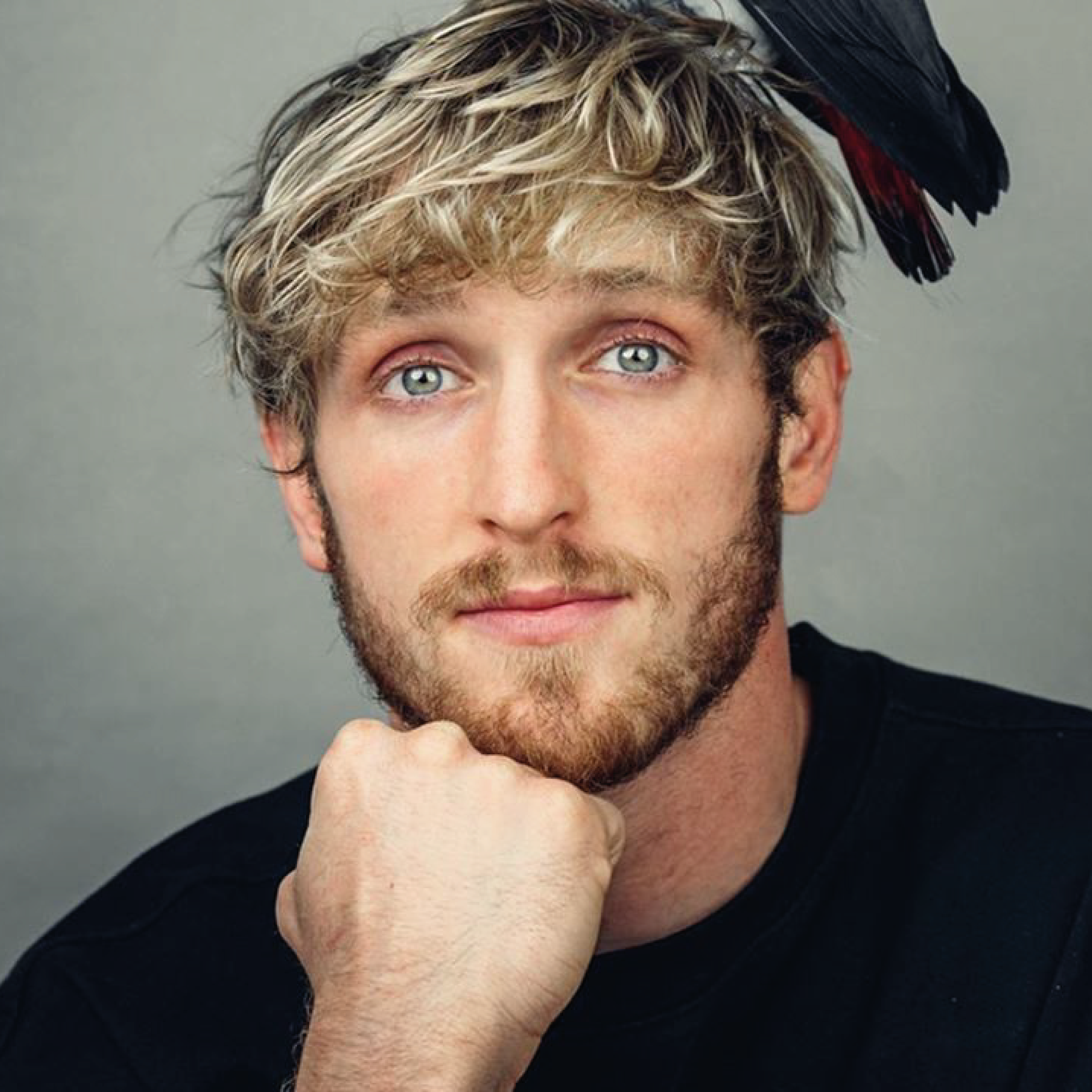 Логан полом. Logan Paul hair. Logan Paul Beard.